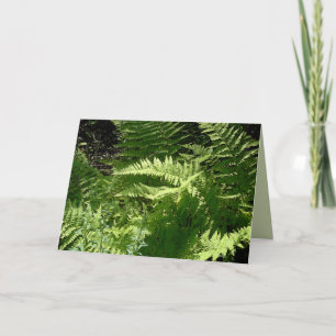 Fern Flurry Card