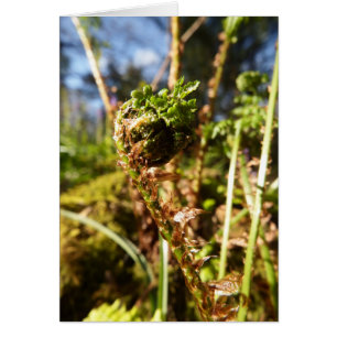 Fern Frond Blank Note Card