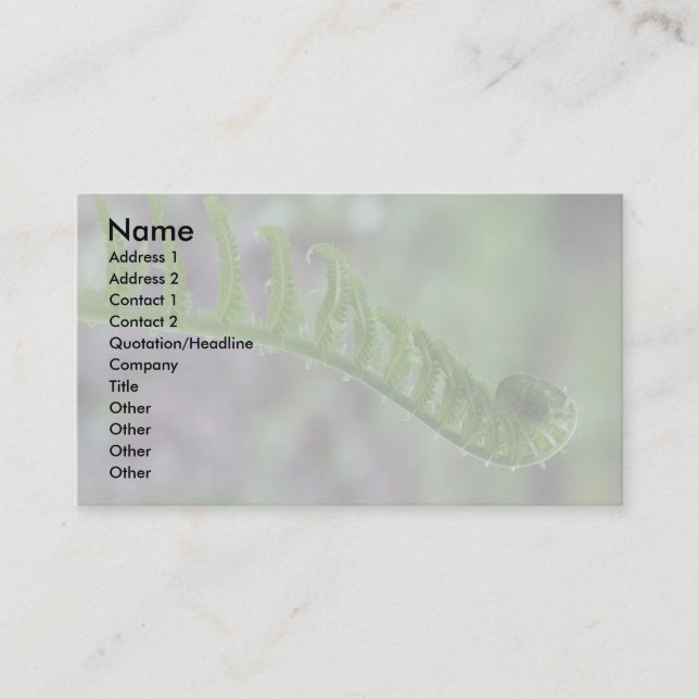 Fern Frond Business Cards (Front)