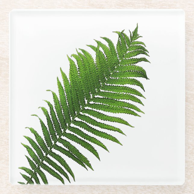 Fern frond glass coaster (Front)
