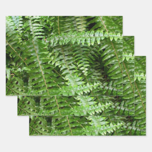 Fern Fronds I Dark Green Nature Wrapping Paper Sheet