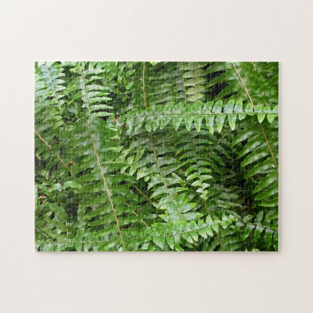 Fern Fronds I Green Nature Jigsaw Puzzle (Horizontal)