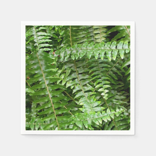 Fern Fronds I Green Nature Napkin (Front)