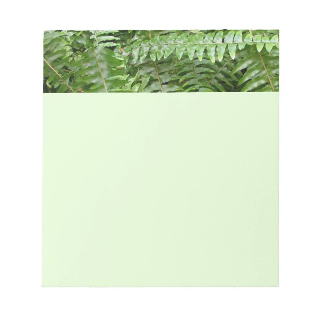 Fern Fronds I Green Nature Notepad (Front)
