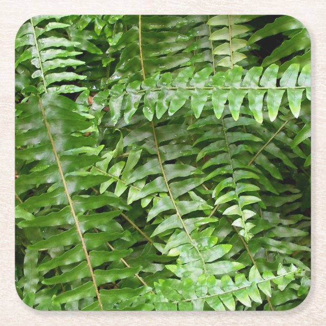Fern Fronds I Green Nature Square Paper Coaster (Front)