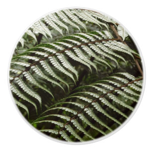 Fern Fronds II Dark Green Nature Ceramic Knob