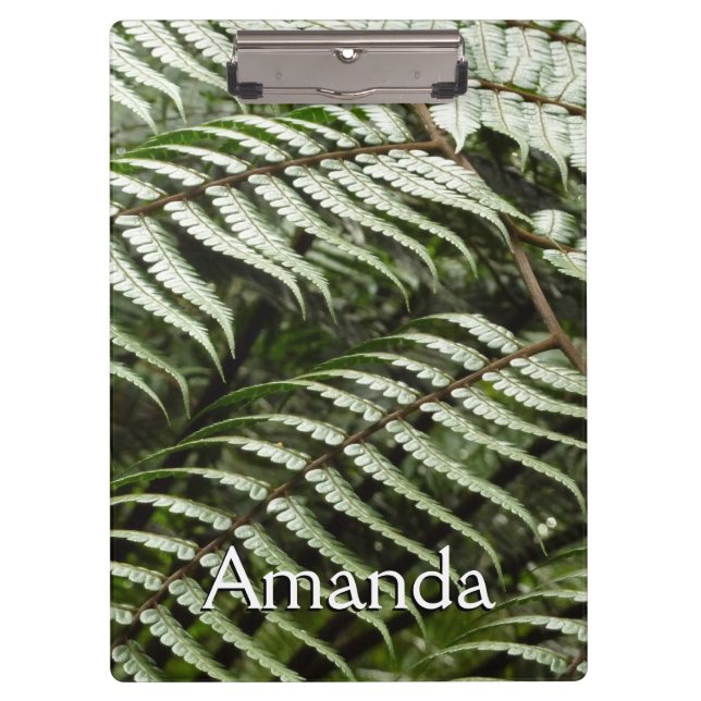 Fern Fronds II Dark Green Nature Clipboard (Front)