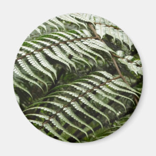 Fern Fronds II Dark Green Nature Magnet