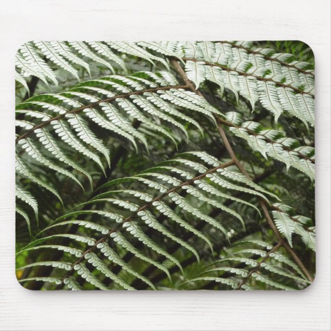 Fern Fronds II Dark Green Nature Mouse Mat (Front)
