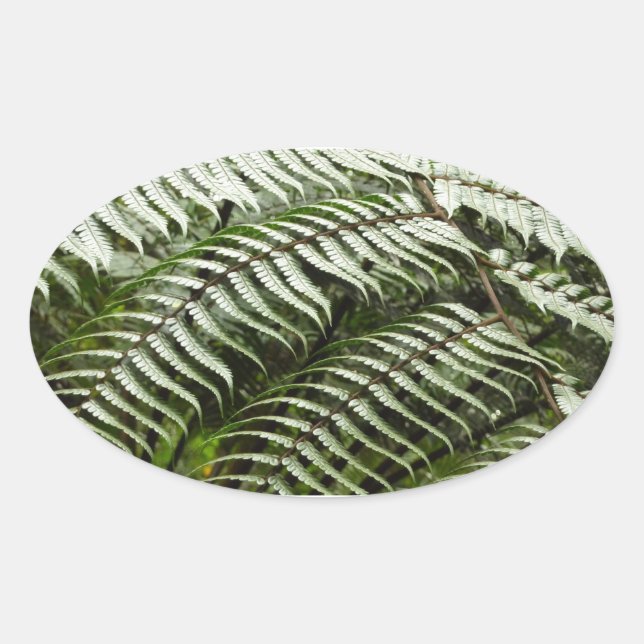 Fern Fronds II Dark Green Nature Oval Sticker (Front)