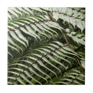 Fern Fronds II Dark Green Nature Tile