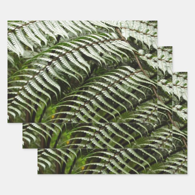 Fern Fronds II Dark Green Nature Wrapping Paper Sheet (Set)