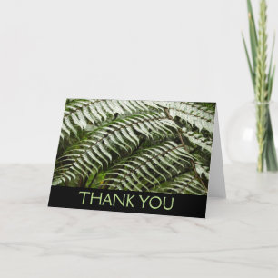 Fern Fronds II Green Nature Thank You Card