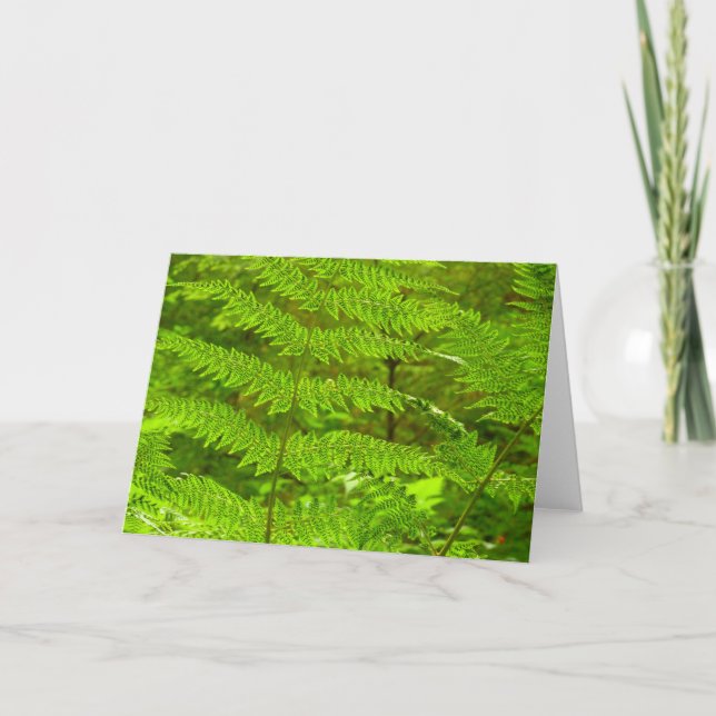 Fern Fronds III Green Nature Botanical Card (Front)