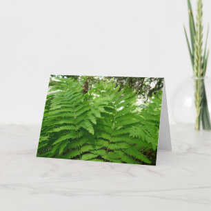 Fern Fronds IV Green Nature Botanical Card