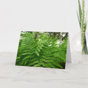 Fern Fronds IV Green Nature Botanical Card
