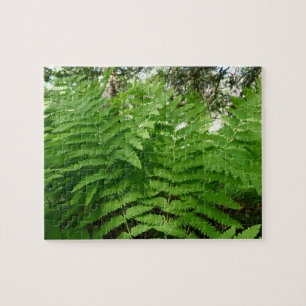 Fern Fronds IV Green Nature Botanical Jigsaw Puzzle