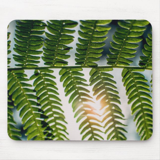 fern golly mouse mat (Front)