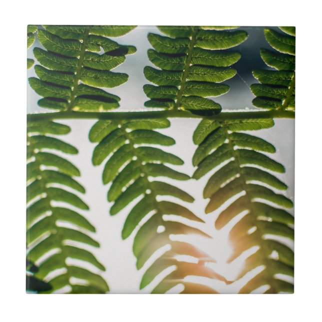 fern golly tile (Front)