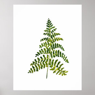 Fern Green Leaves Botanical Watercolor Nature Poster