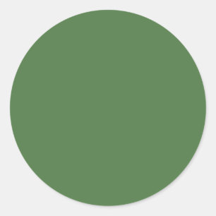 Fern Green Solid Color Classic Round Sticker