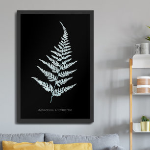Fern - Gymnogramma L’herminieri. X-ray effect – 05 Poster