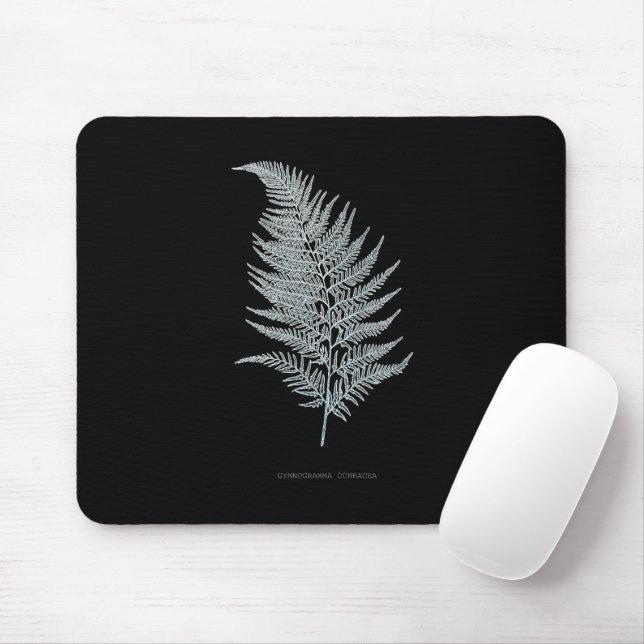 Fern - Gymnogramma Ochracea - X-ray effect - 02 Mouse Mat (With Mouse)