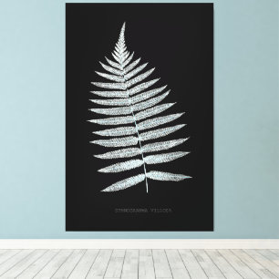 Fern - Gymnogramma Villosa - X-ray effect - 06 Canvas Print
