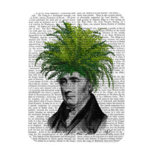 Fern Head Plant Head Magnet