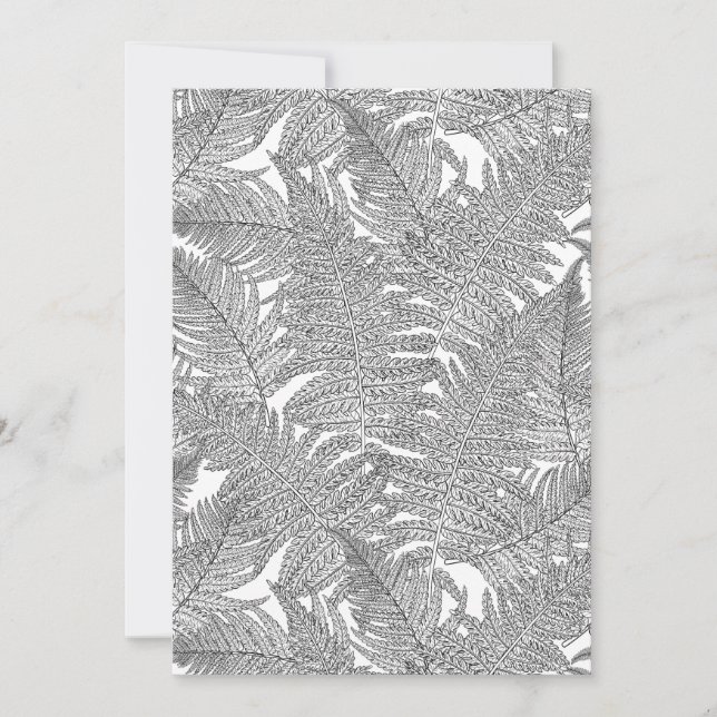 Fern in black and white (Front)