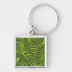 Fern in green key ring