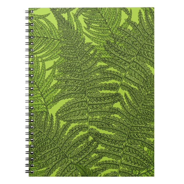 Fern in green notebook (Front)