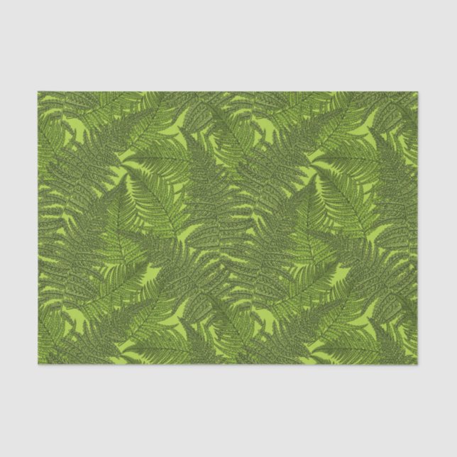 Fern in green tissue paper (Front)
