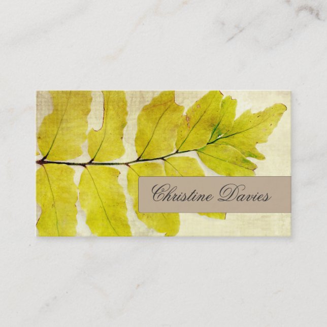 Fern leaf grunge vintage business card (Front)