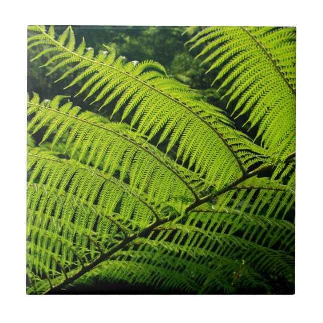 Fern leaf tile (Front)