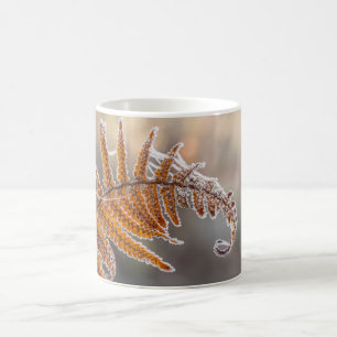 Fern Leaf with Icy Frost in a Cold Winter Nature - Coffee Mug