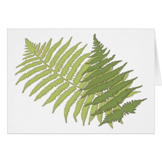 Fern Leaves (Front Horizontal)