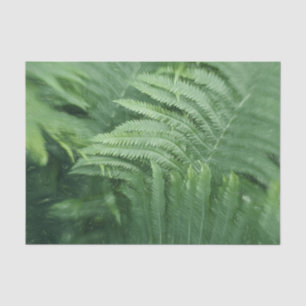 Fern Leaves Botanical Greenery Art Tissue Paper
