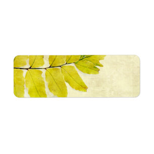 Fern leaves grunge design