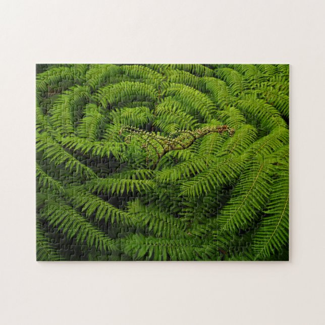 Fern Leaves Jigsaw Puzzle (Horizontal)