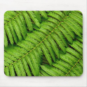 Fern Leaves Mouse Mat
