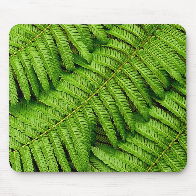 Fern Leaves Mouse Mat (Front)