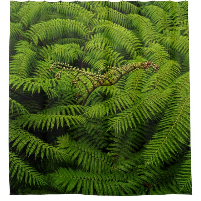 Fern Leaves Portrait Shower Curtain (Front)