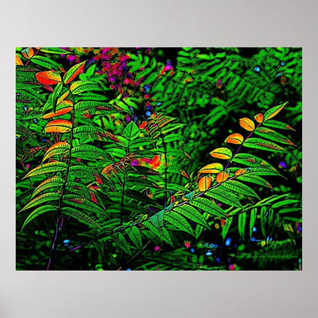 Fern Leaves Print (Front)