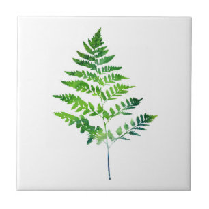 Fern Leaves Tile