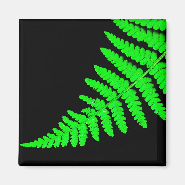 Fern Magnet (Front)
