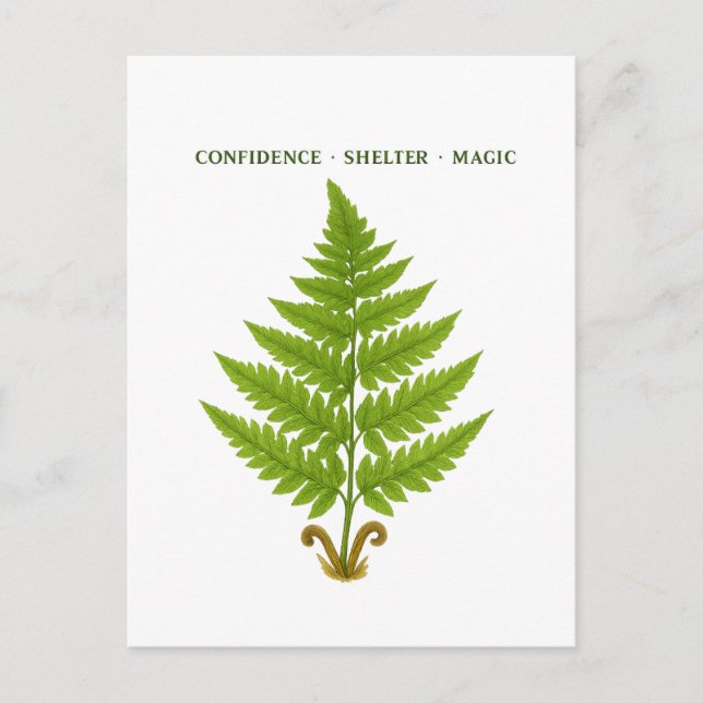 Fern Meaning Postcard (Front)