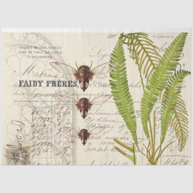 Fern Moth Apothecary Decoupage Tissue Paper (Front)