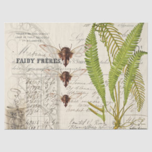 Fern Moth Apothecary Decoupage Tissue Paper