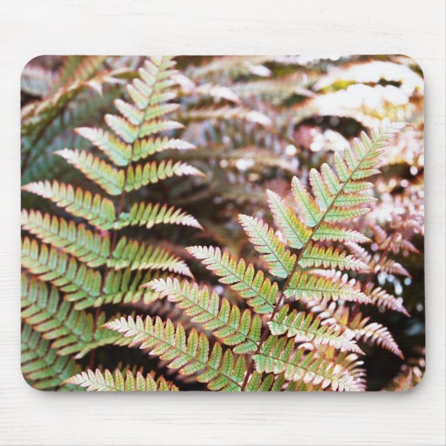 Fern Mousepad (Front)
